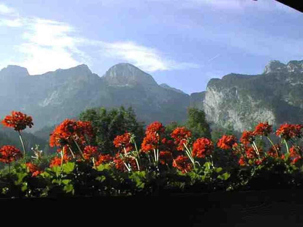 Schorghof Villa Abtenau Buitenkant foto